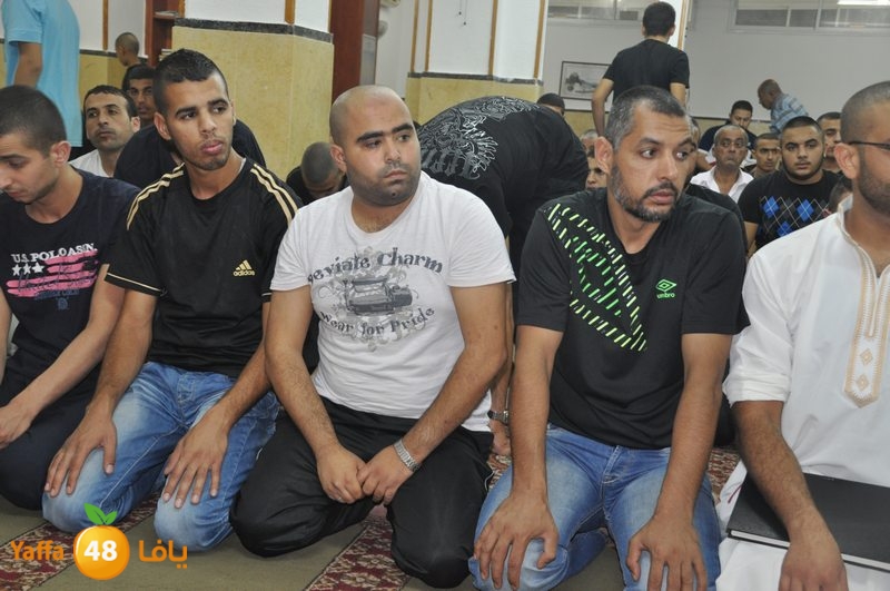 nooreimosiq (11).JPG